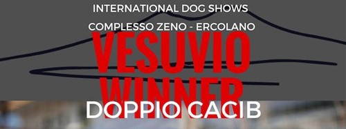 Vesuvio Winner 2017