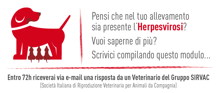 Herpesvirosi - Servizio di consulenza gratuito