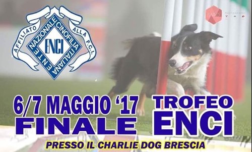 Trofeo ENCI di Agility 2017 - finale