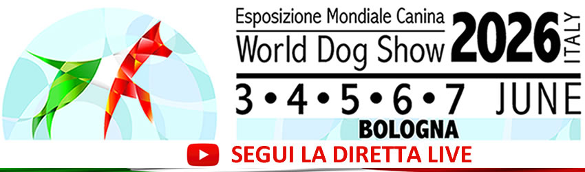 WDS2026 - DIRETTA STREAMING