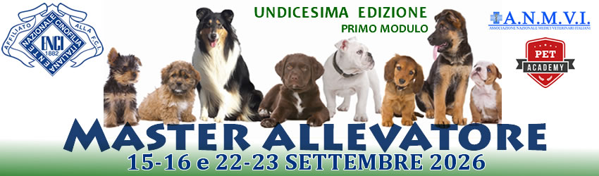 MASTER ALLEVATORE