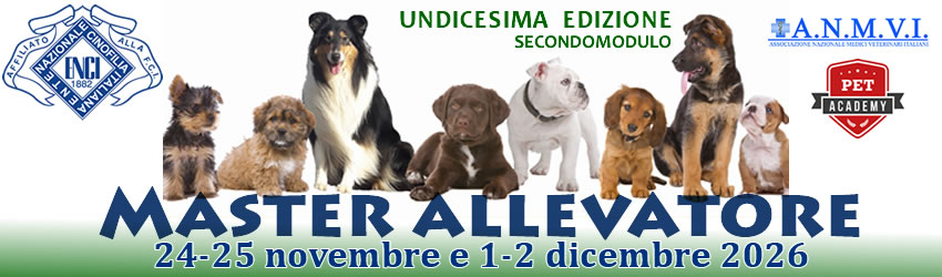 MASTER ALLEVATORE