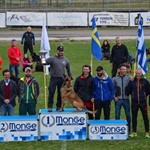 Trofeo ENCI 2019, Goito (MN) 15-17 marzo. Miglior Difesa (sez. C)