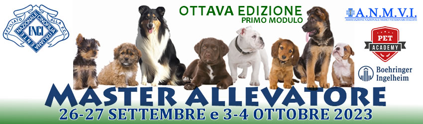 MASTER ALLEVATORE
