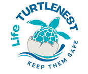 Logo Life Turtlenest